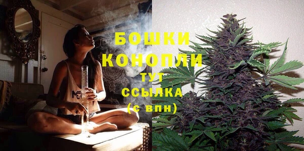 винт Чегем