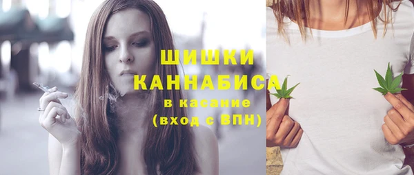 винт Чегем