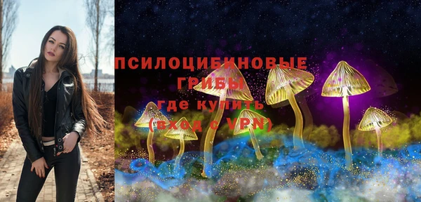 винт Чегем
