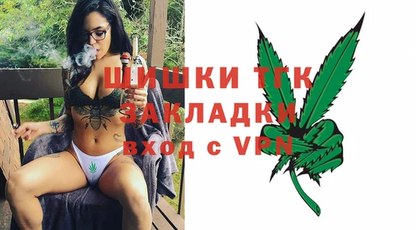 винт Чегем