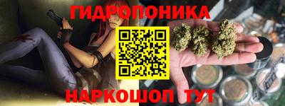 прущие крисы Гай