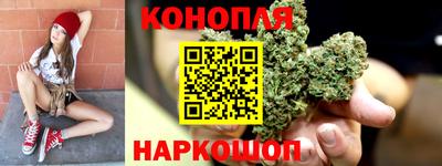 прущие крисы Гай