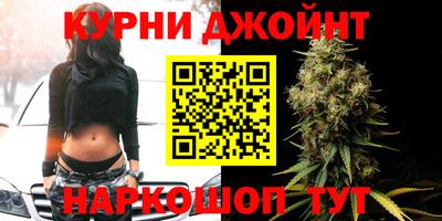 прущие крисы Гай