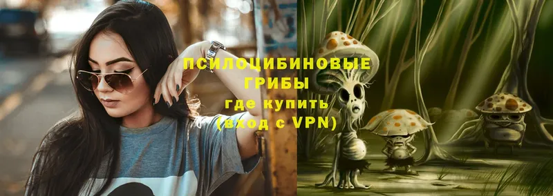 Галлюциногенные грибы Cubensis  hydra зеркало  Кемерово 