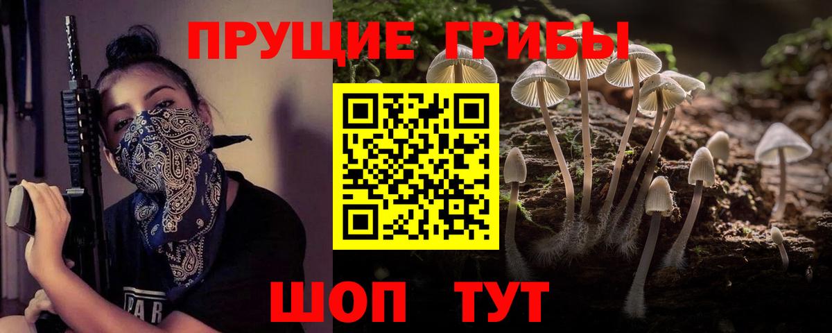 купить  сайты  Псилоцибиновые грибы Psilocybe  Вход с VPN  Кемерово  Псилоцибиновые грибы ЛСД 