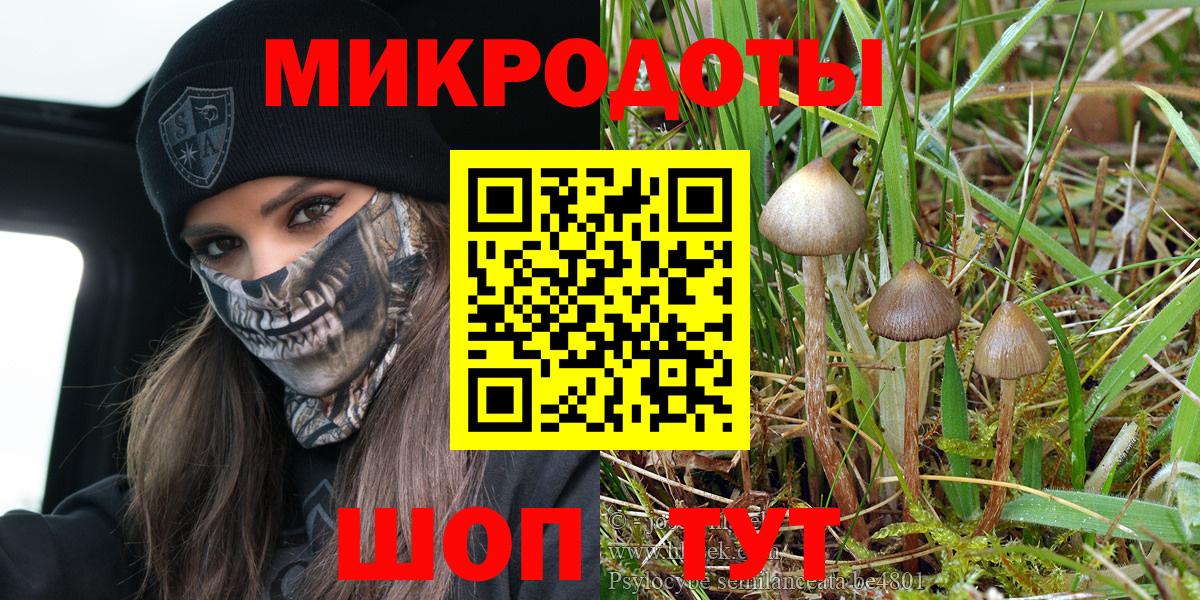 Псилоцибиновые грибы MAGIC MUSHROOMS  Кемерово 